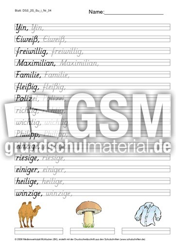 DSS_2S_Bu_i_Nr_04.pdf